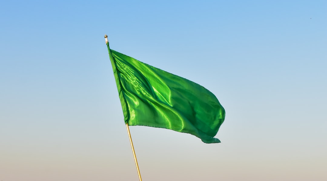 Green Flags in Modern Dating: What to Look For (And How to Show Them)
