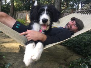 man in a hammock with a dog